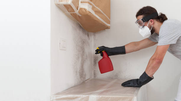 Professional Crawl Space Mold Remediation technician working in White Marsh, MD