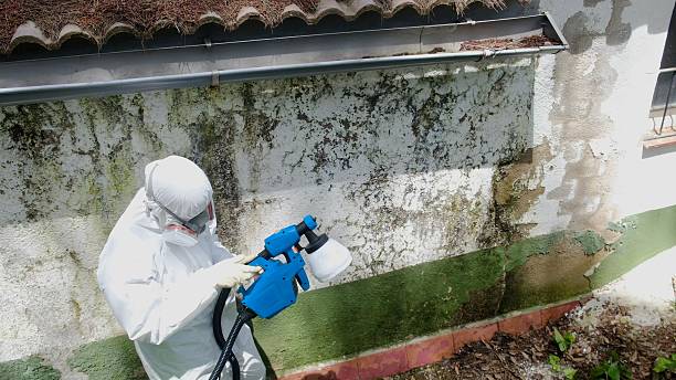 Top rated local Crawl Space Mold Remediation specialists in White Marsh, MD